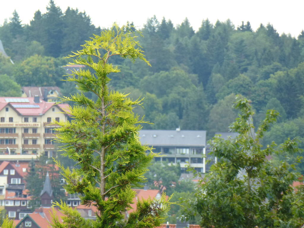 Harzhaus Willkommen Braunlage Exterior foto